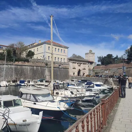 Pane * Zadar