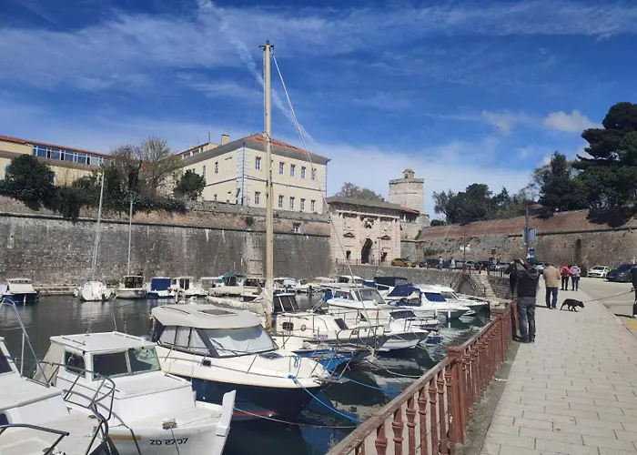 Pane * Zadar