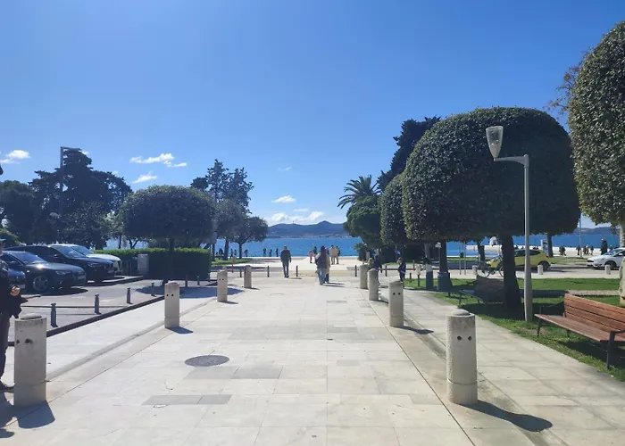 Pane * Zadar