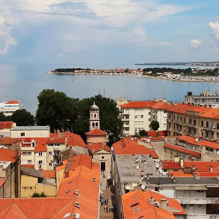 Pane * Zadar